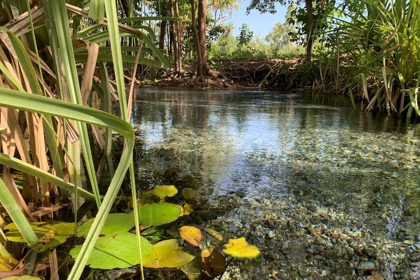 A crystal clear waterhole in Central Arnhem Land