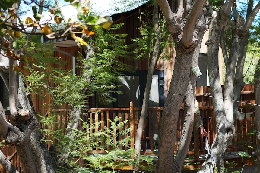 A tree house covered in greenery