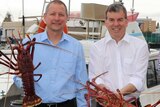 Two men in white and blue shirts hold up rock lobsters in front of a boat.