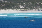 Boats in the water conducting a search near the shore of a beach.