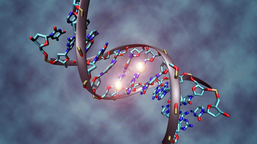 A DNA double helix. There are two bright spots, one on either strand