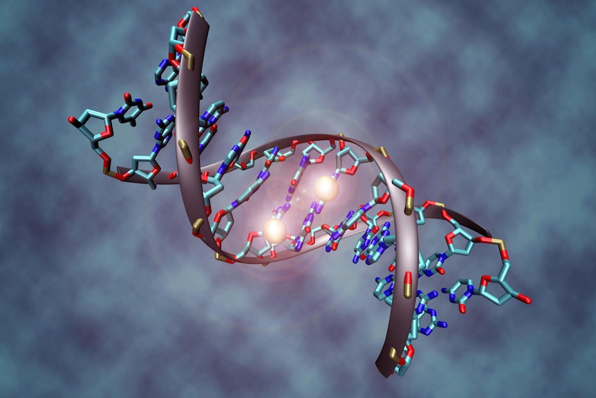 A DNA double helix. There are two bright spots, one on either strand