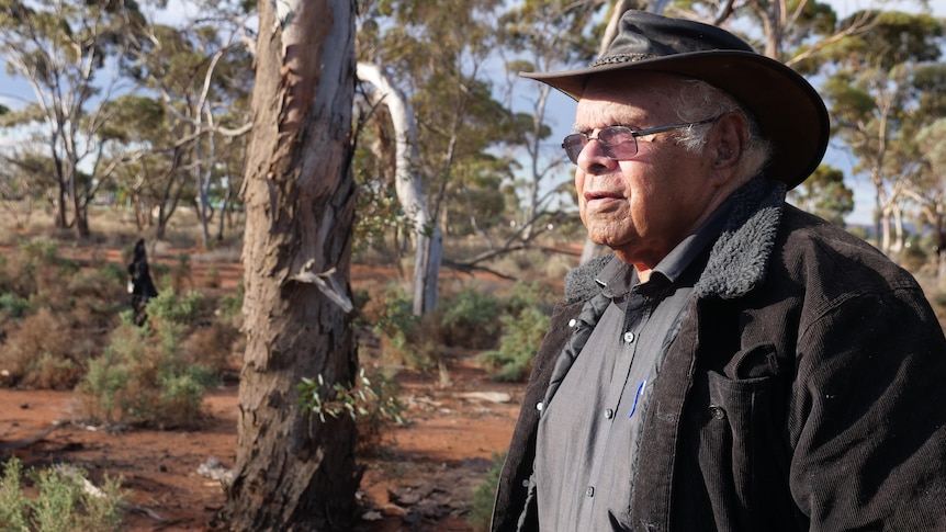An Aboriginal elder looks out of frame, with beautiful native trees in the background.