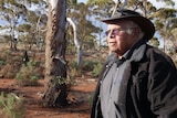 An Aboriginal elder looks out of frame, with beautiful native trees in the background.