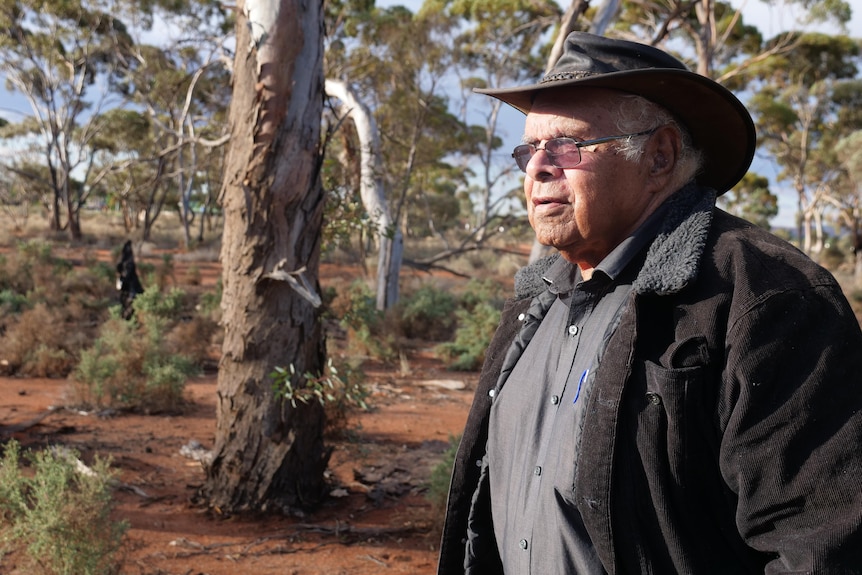 An Aboriginal Elder looks out of frame, with beautiful native trees in the background.
