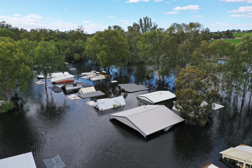 Blanchetown Caravan Park submerged by floodwaters.