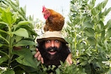 Costa Georgiadis with one of his chooks