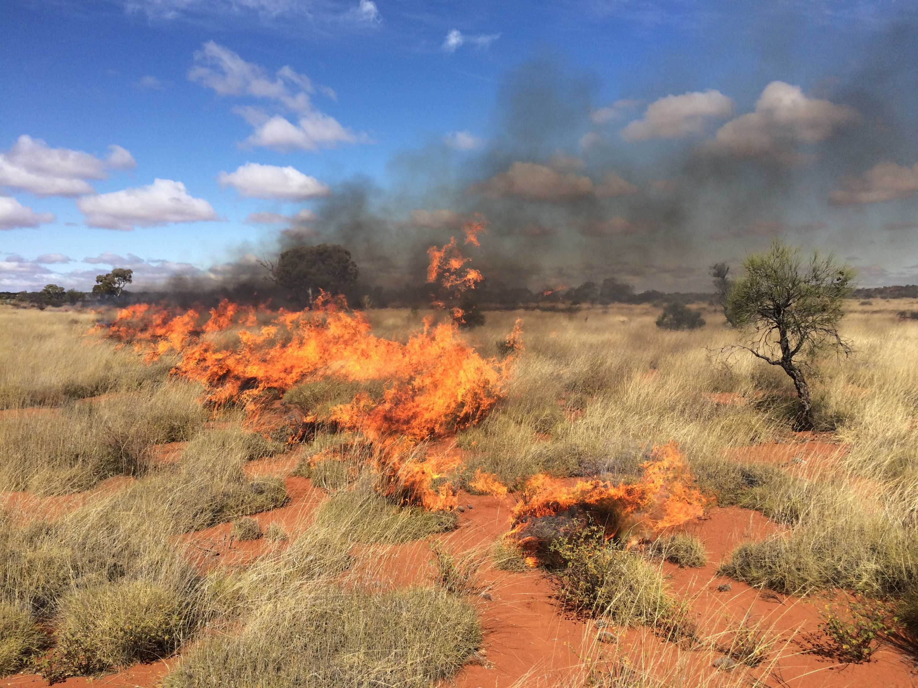 Campfires lit by travellers a major cause of bushfires in the ...