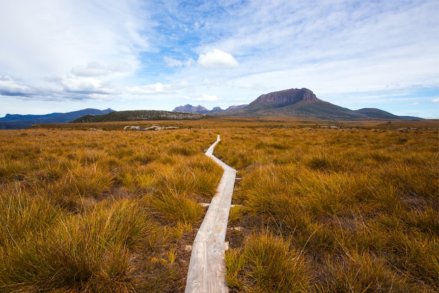 A track through a red grassy plain leads towards a rocky mountain in the distance