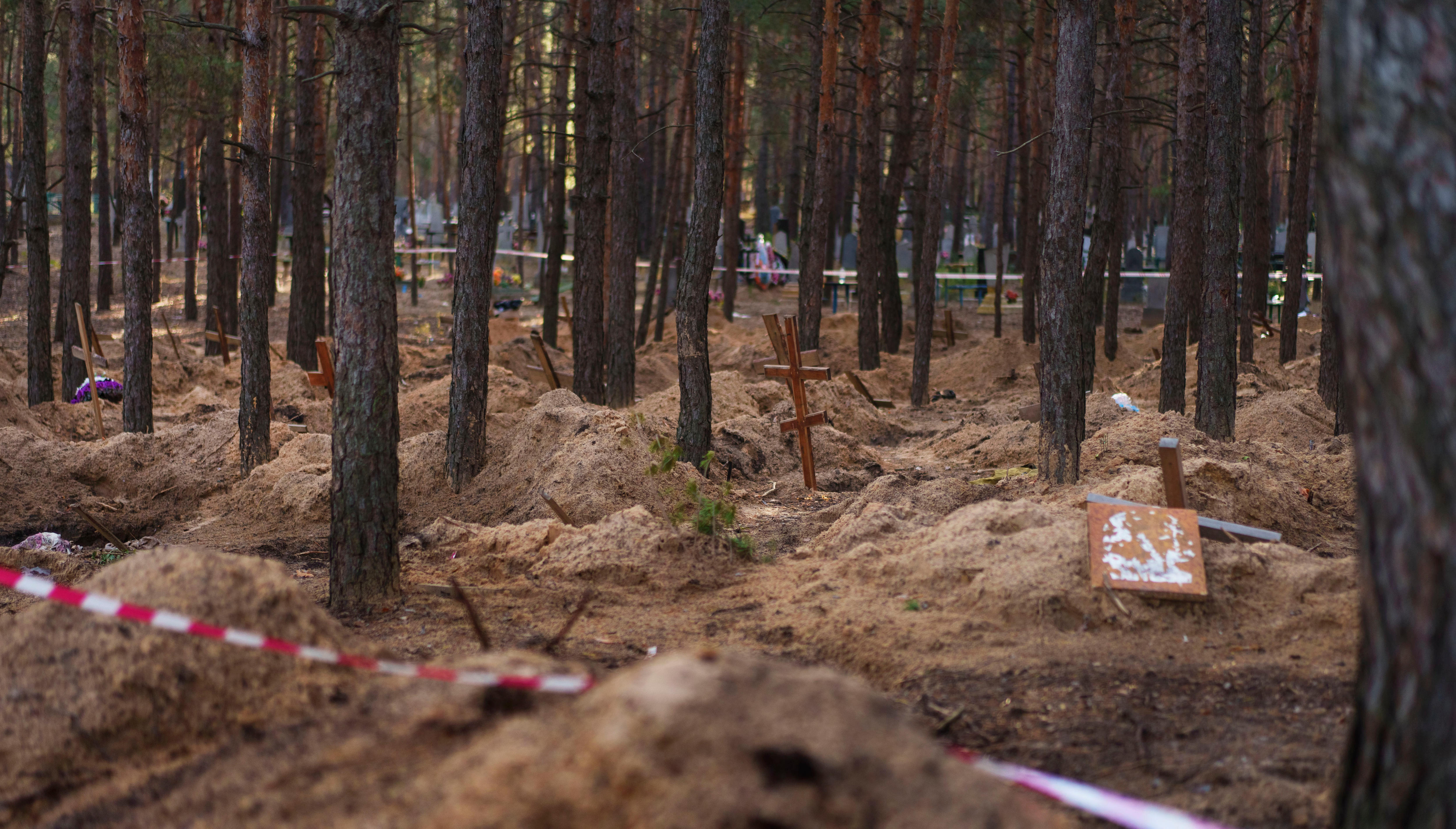 Graves in a forest.