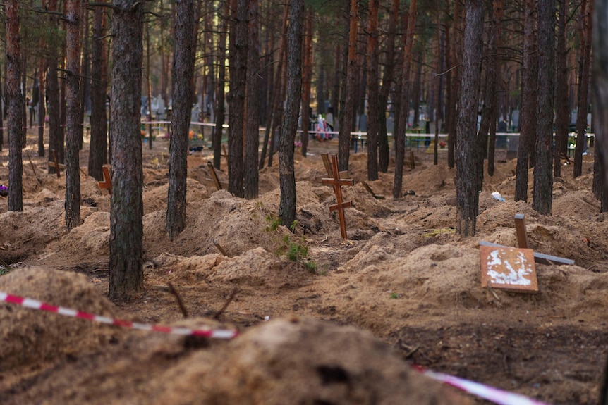 Graves in a forest.