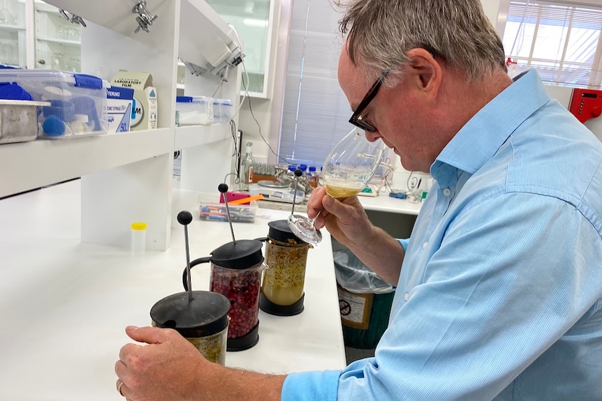 National Wine Grape Industry Centre director Professor Leigh Schmidtke looks over some testing equipment.