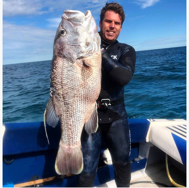 Perth father Steven Mattaboni identified as Rottnest shark attack victim -  ABC News