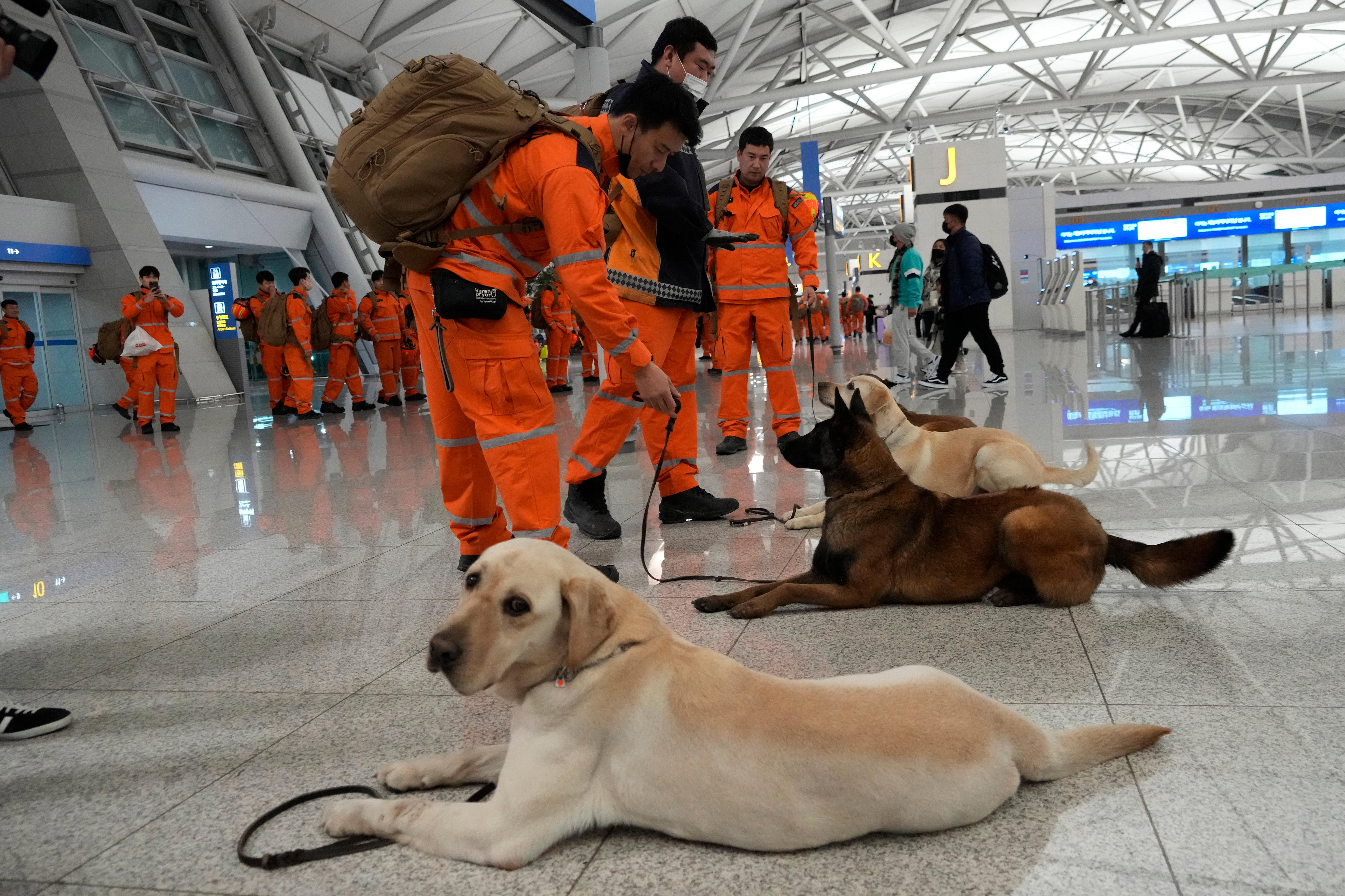 Rescue Efforts Continue In Türkiye And Syria As Aid Workers Struggle To ...