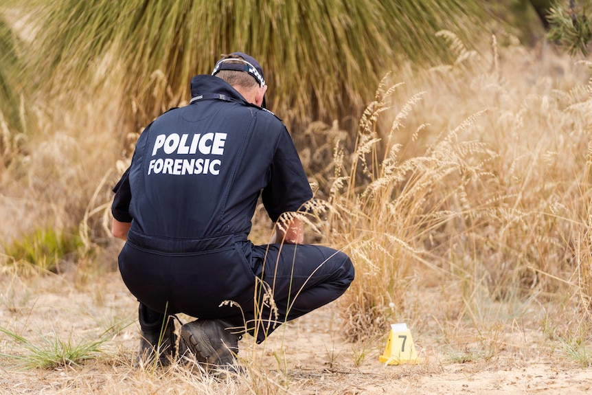 A police officer with blue overalls that read POLICE FORENSIC, wearing a hat, crouches in dry bushland.