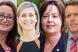 Composite of Justine Keay, Susan Lamb, Madeleine King and Josh Wilson