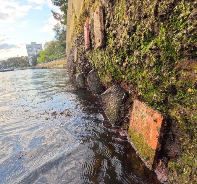 A seawall with colourful blocks of concrete.