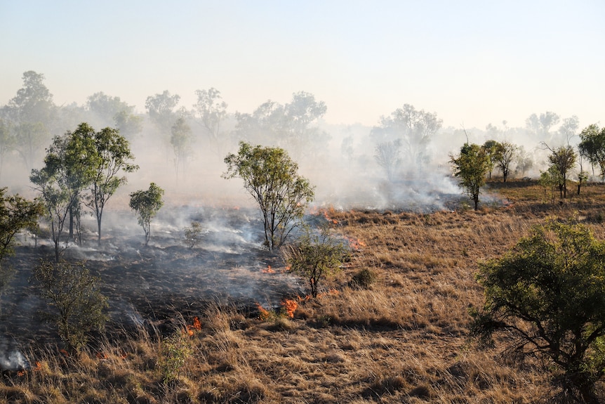 Aerial pic of grassland dotted with medium-sized trees. Charred grass, smoke and low-to-the-ground flames show a bushfire's path