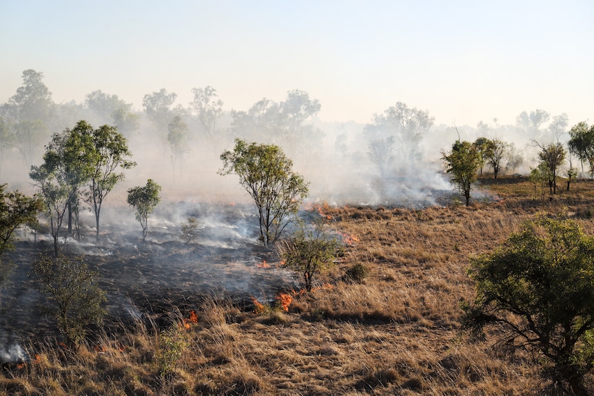 Smoke billows from a grass fire.