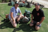 Two mates bond over restoring lawn mowers