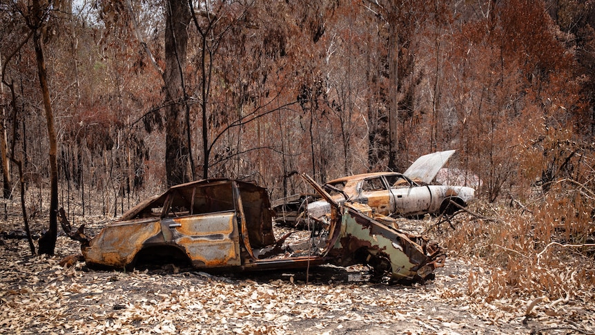 Burnt cars in bushland