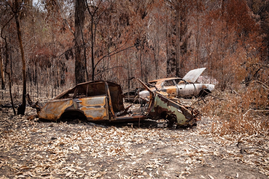 Burnt cars in bushland