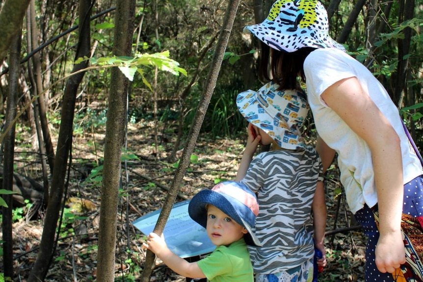 A family explores the Wollemi pine station on the ANBG's children's trail.