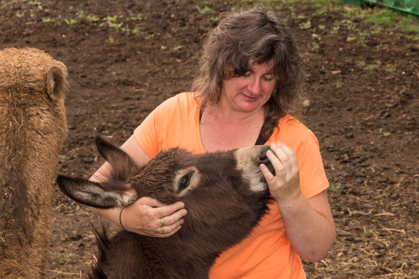 A woman in an orange shirt hugs the head of a donkey and pats its nose