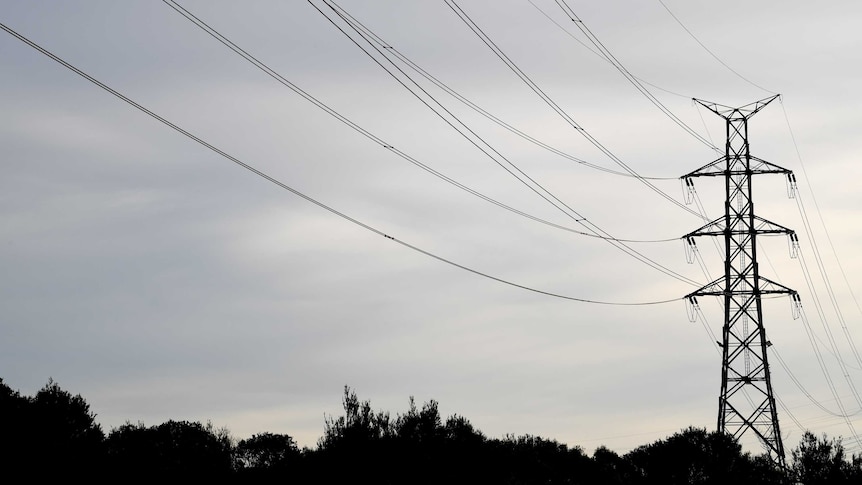 A power pole with several power lines running through it, with a grey sky in the background.