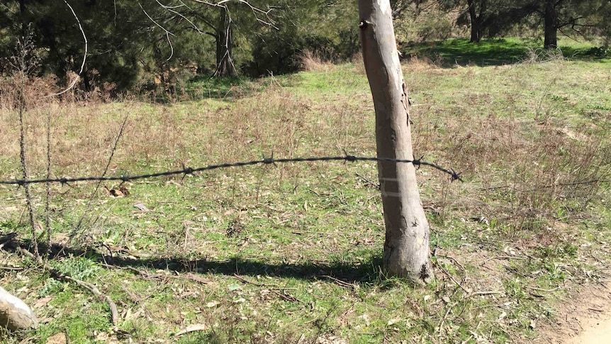 barbed wire strung across Canberra track