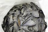Marshall Islands dump shark fins