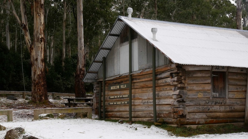 Timber hut with iron roof in bushland near Ensay.