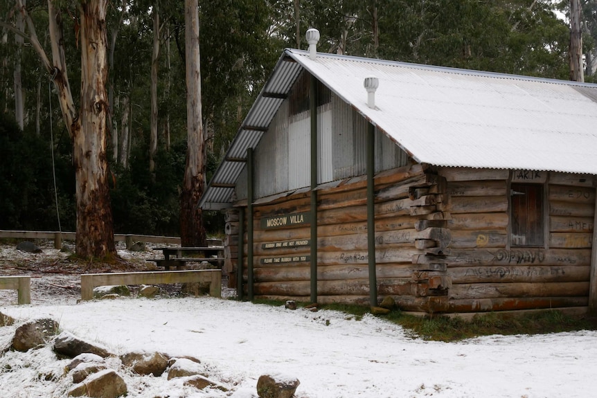 Timber hut with iron roof in bushland near Ensay.
