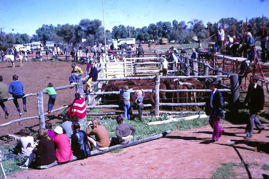 A crowd sitting around a rodeo arena on red dirt in the 1970s.