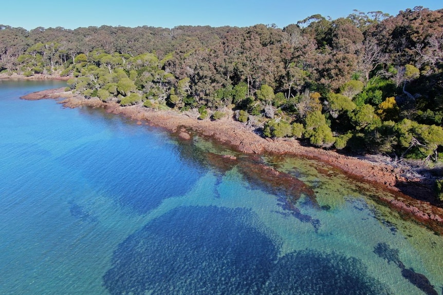 An aerial drone shot of a spectacular blue cove