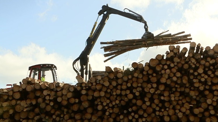 Thousands of trees were cut down in Kowen Forest following a damaging series of events.