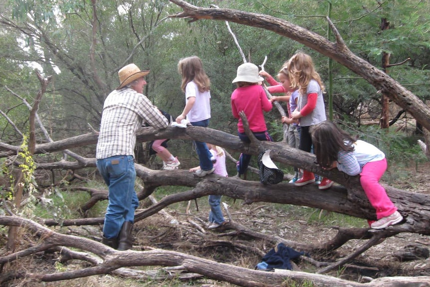An adult with children who are climbing on the branches of a tree