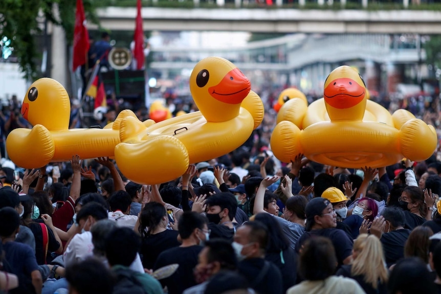 Demonstrators move inflatable yellow rubber ducks during a rally in Bangkok.