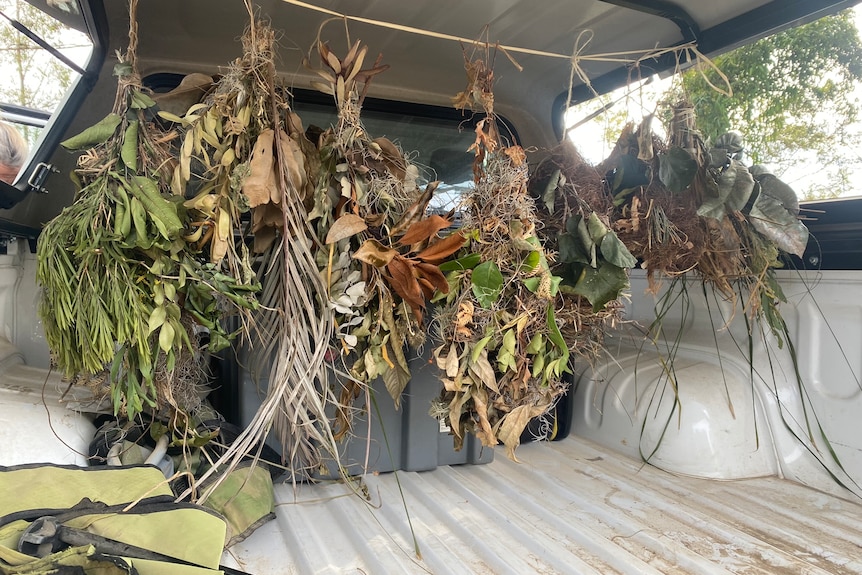 Row of woven artificial nests, hanging in the back of a white van, nests are made of plants, twigs.