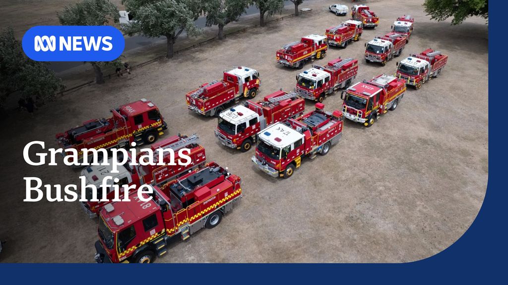 NSW to trial pill testing at music festivals in 2025 ABC News