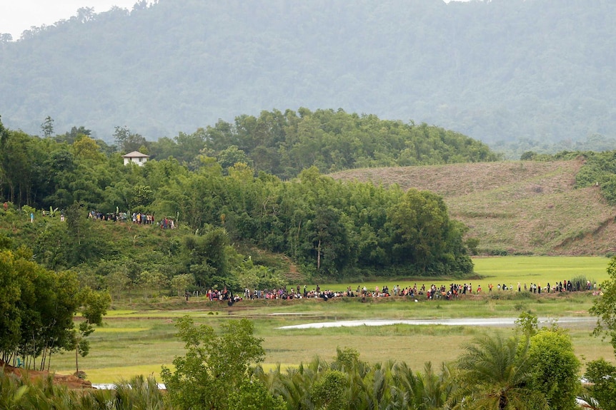 A large group of people appear to be walking in a line. They are photographed from a distance against a background of greenery.