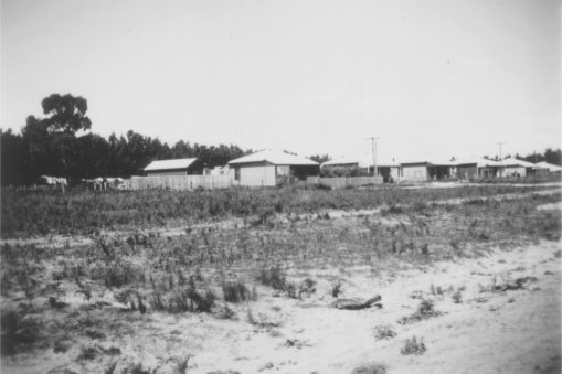 black and white photo of country town with six rough houses and pine trees in distance