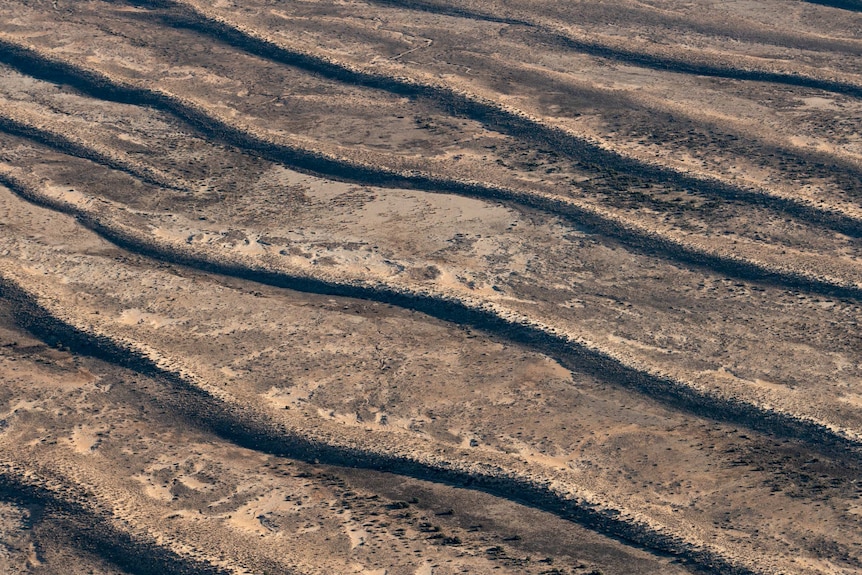Sand dunes in the channel country make deep lines across the earth.