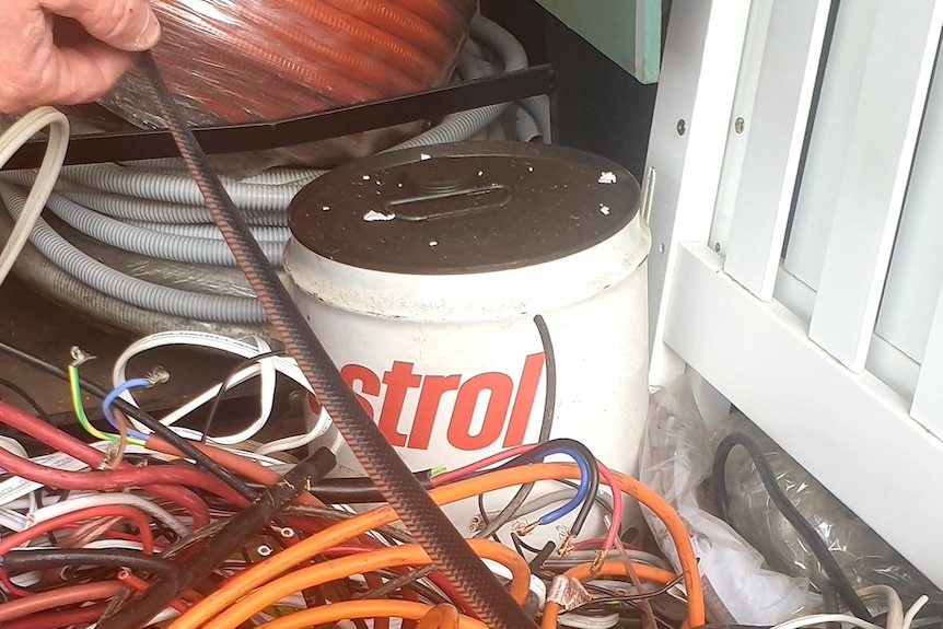 A black and red snake is seen tangled in electrical cabling at the backdoor of a family home.