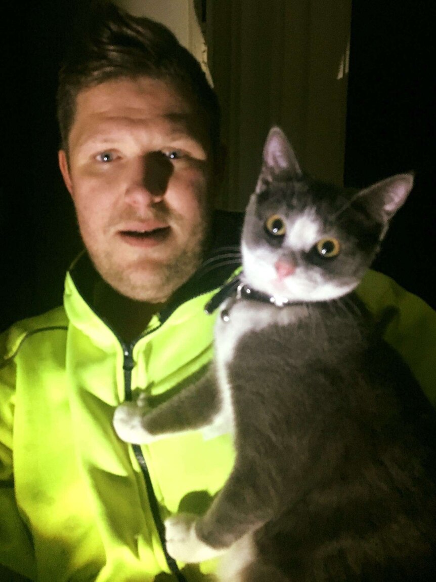 A cat in a man's arms.