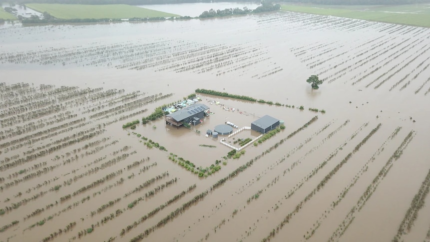 A flooded Salt Spray Farms with a  flooded house in the middle