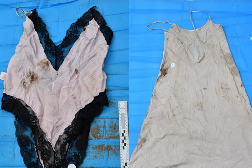 An image of a pale pink lingerie one piece and a slip dress, both marked with dark splodges.