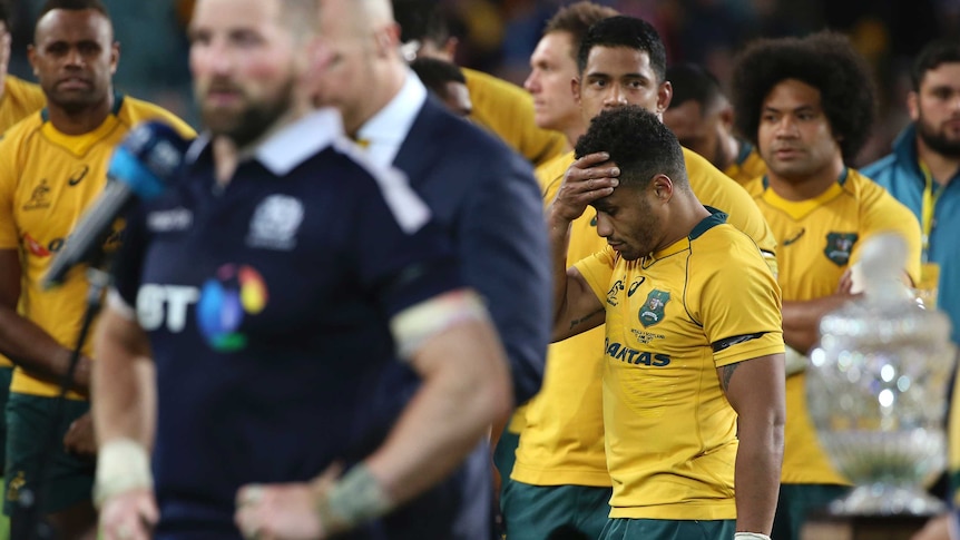 Will Genia looks miserable after the Wallabies' loss to Scotland