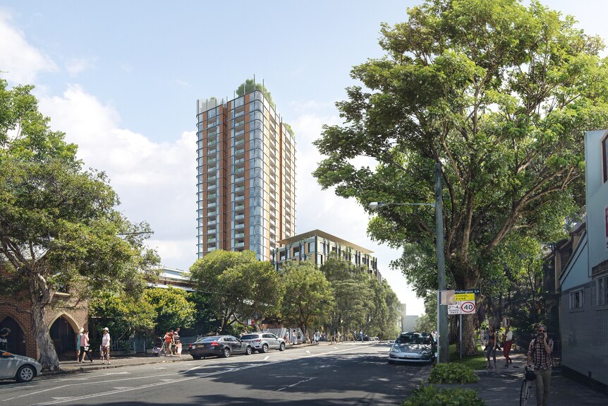 Photo illustration of tree-lined Waterloo South street ahead of a state government development, housing tower in the background