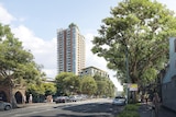 Photo illustration of tree-lined Waterloo South street ahead of a state government development, housing tower in the background